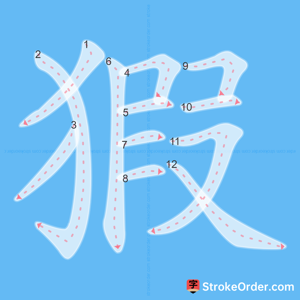 Standard stroke order for the Chinese character 猳