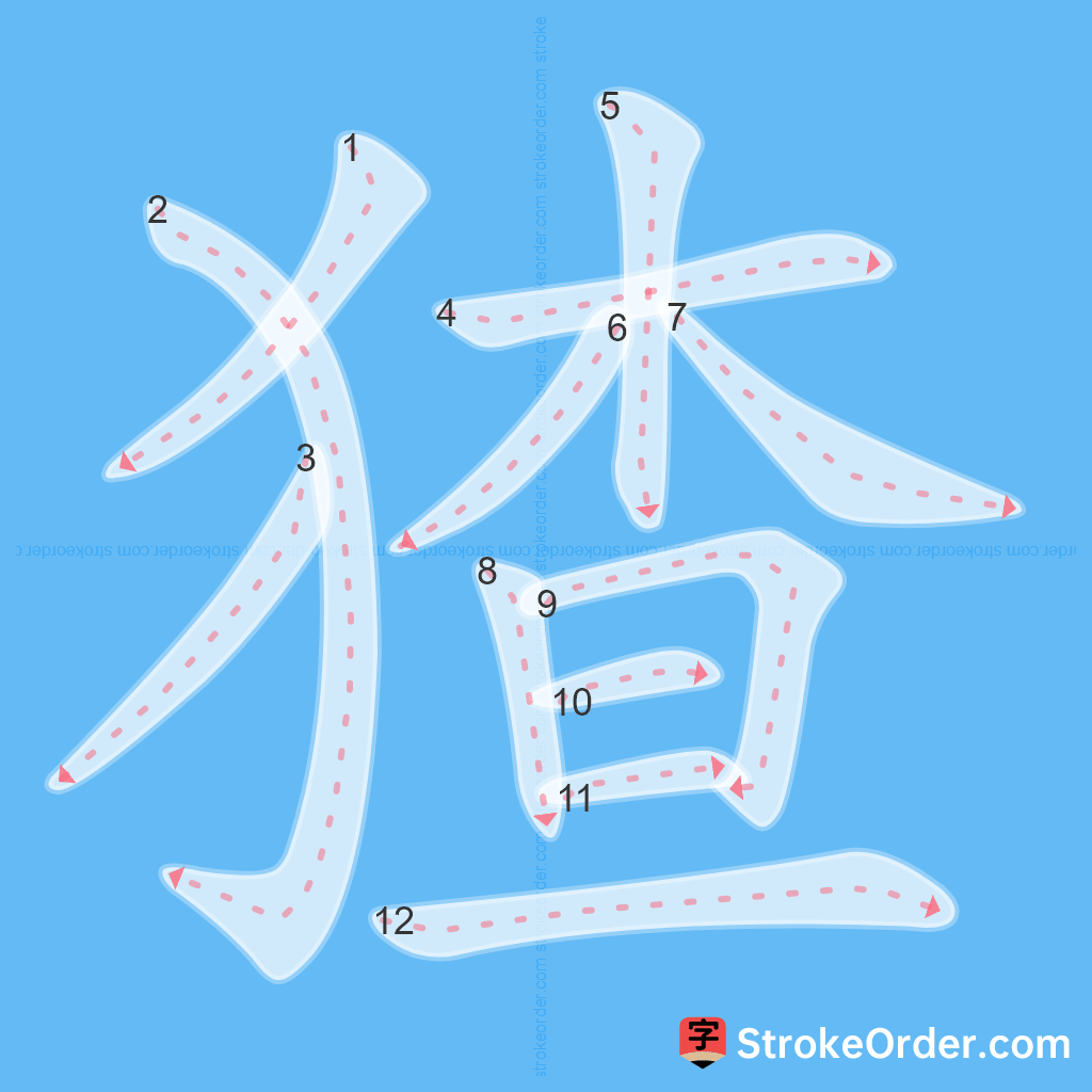 Standard stroke order for the Chinese character 猹