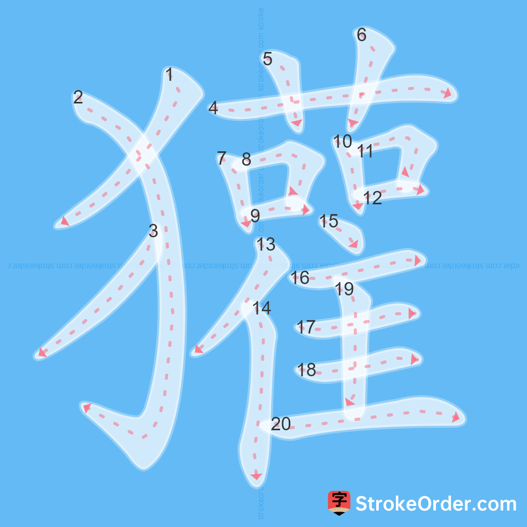 Standard stroke order for the Chinese character 獾