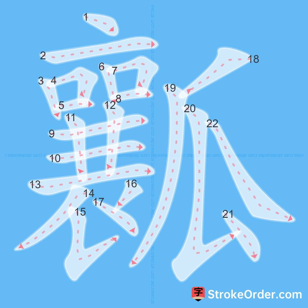 Standard stroke order for the Chinese character 瓤