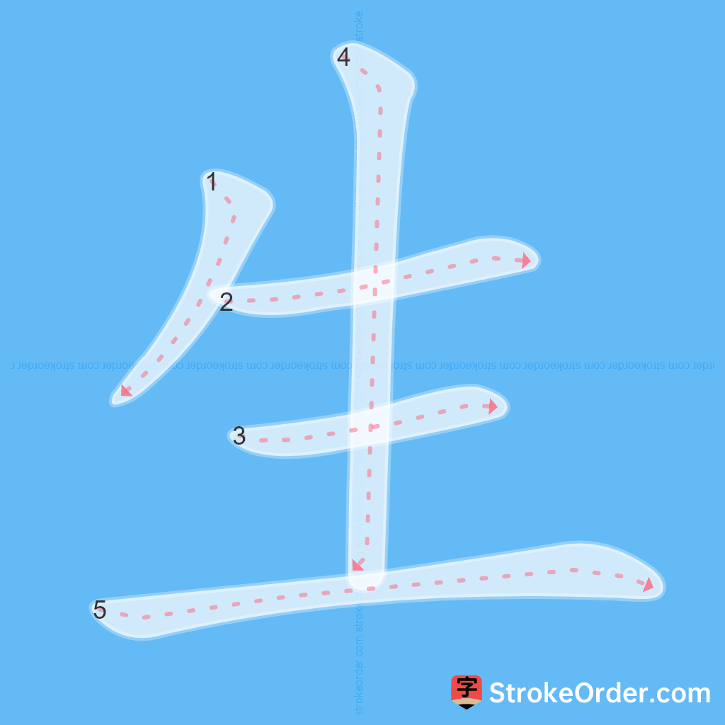 Standard stroke order for the Chinese character 生