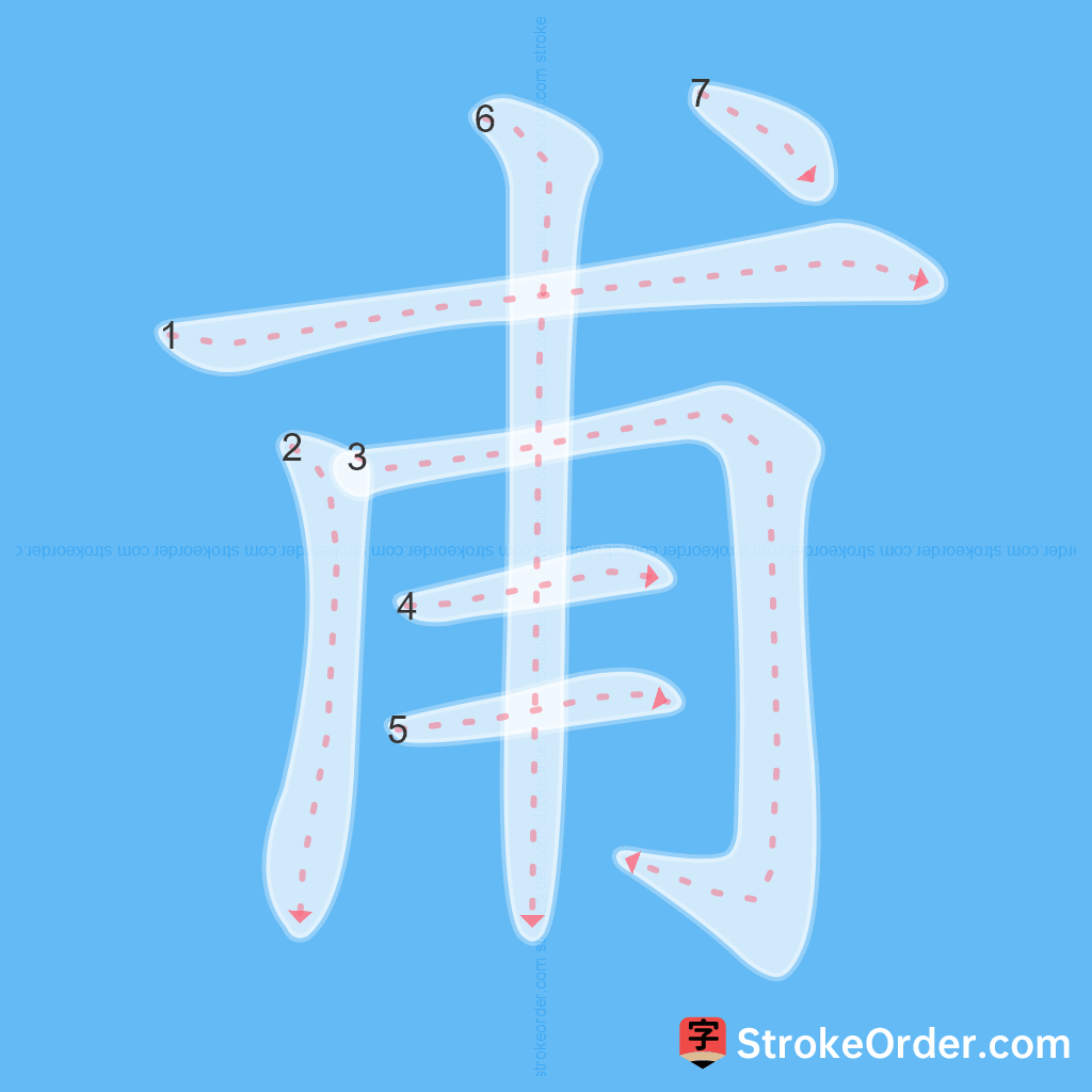 Standard stroke order for the Chinese character 甫