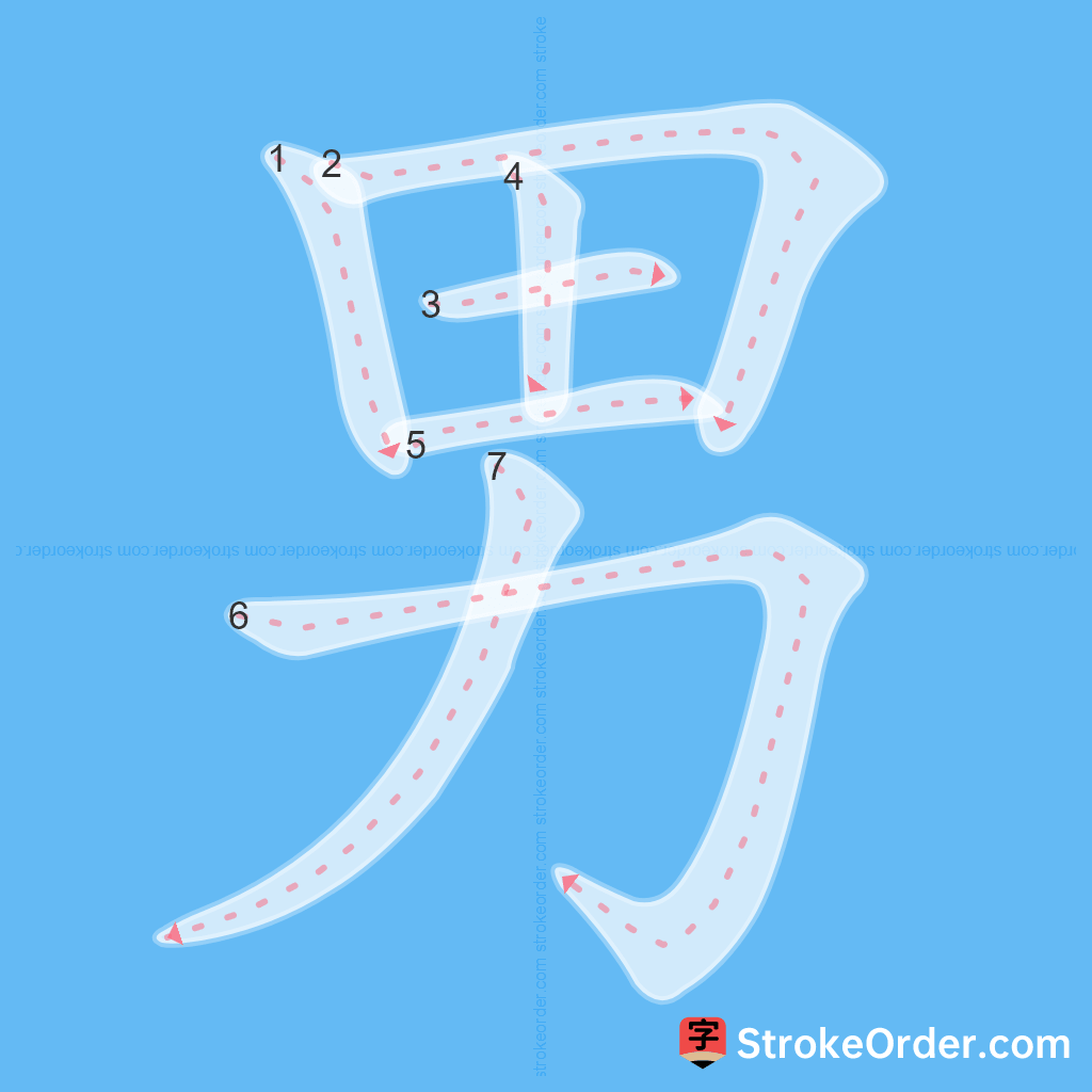 Standard stroke order for the Chinese character 男