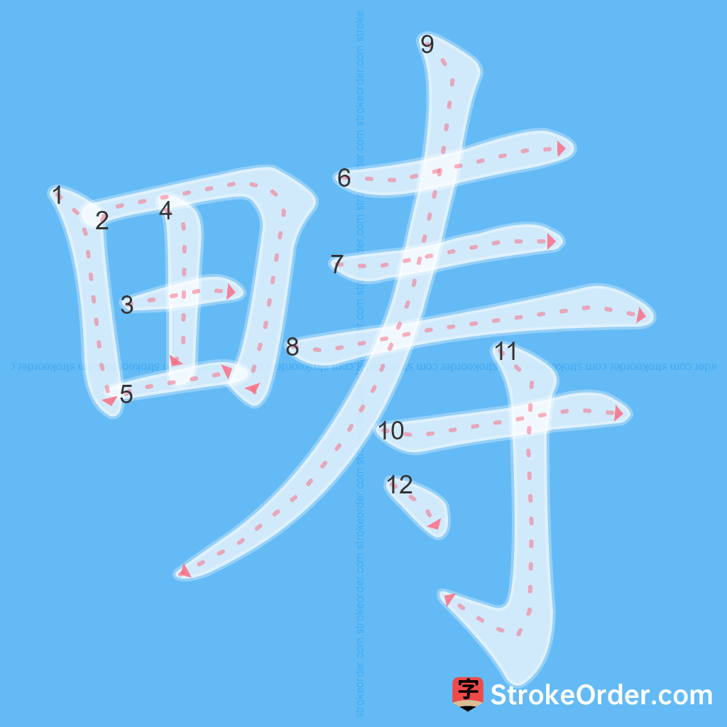 Standard stroke order for the Chinese character 畴