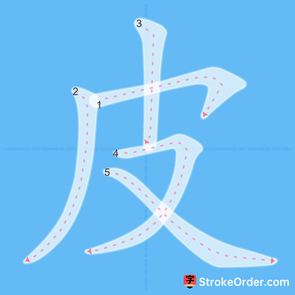 Standard stroke order for the Chinese character 皮
