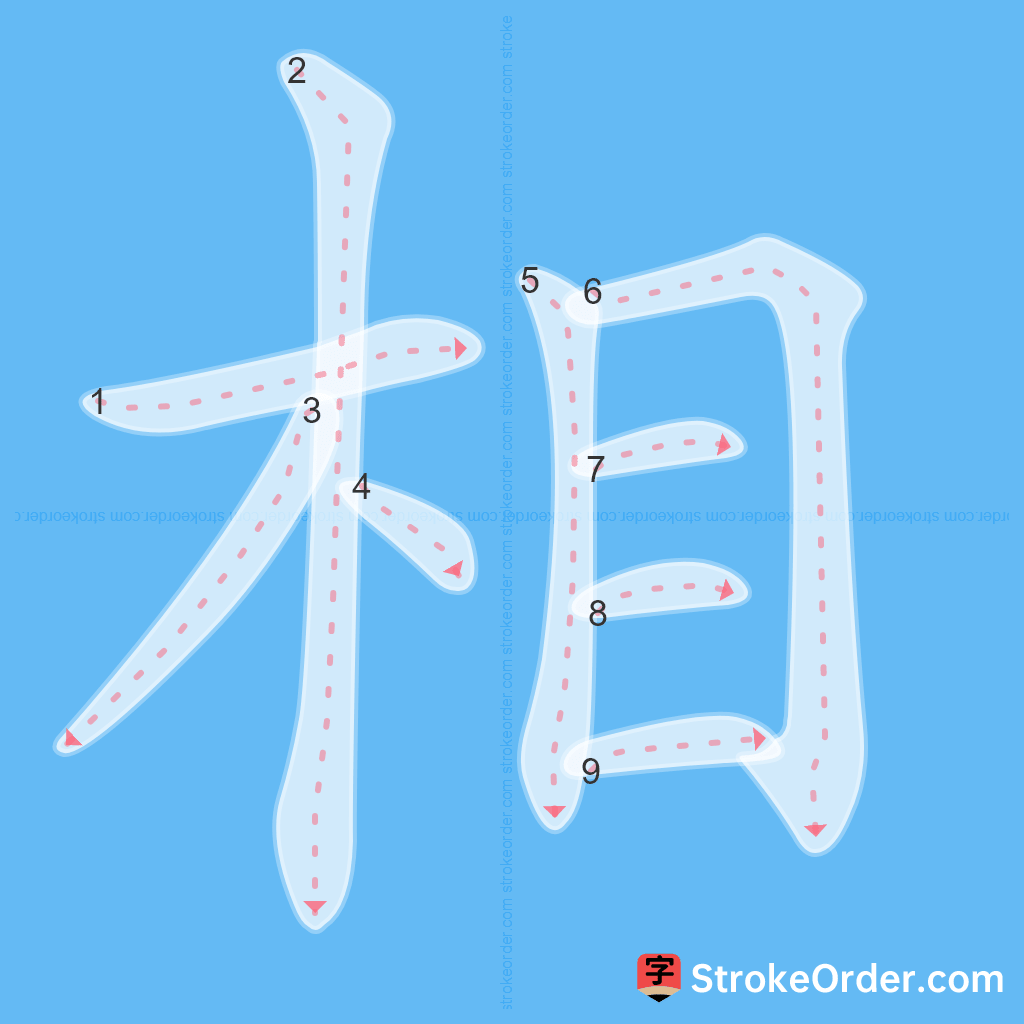 Standard stroke order for the Chinese character 相