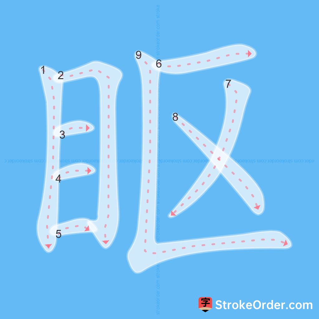 Standard stroke order for the Chinese character 眍