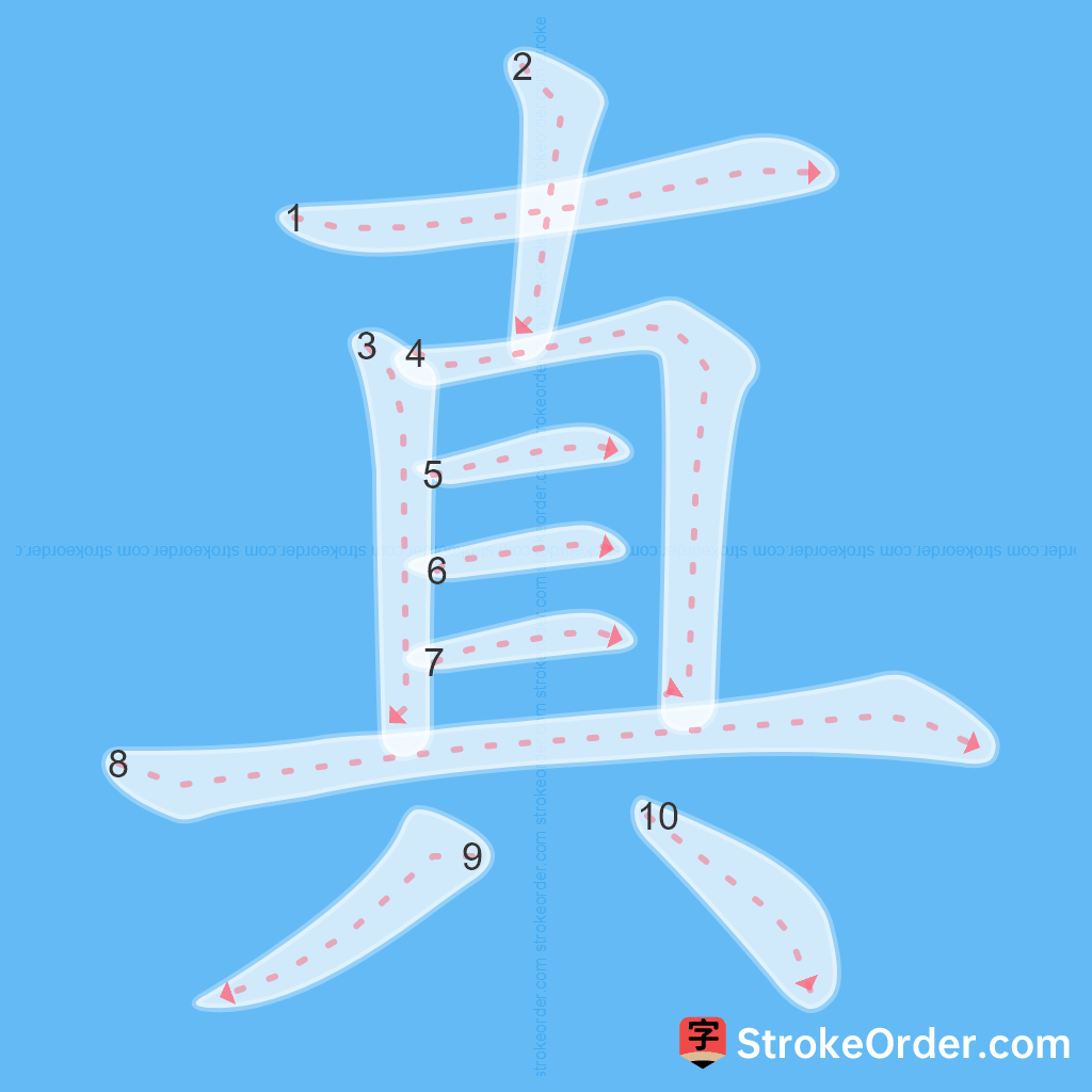 Standard stroke order for the Chinese character 真