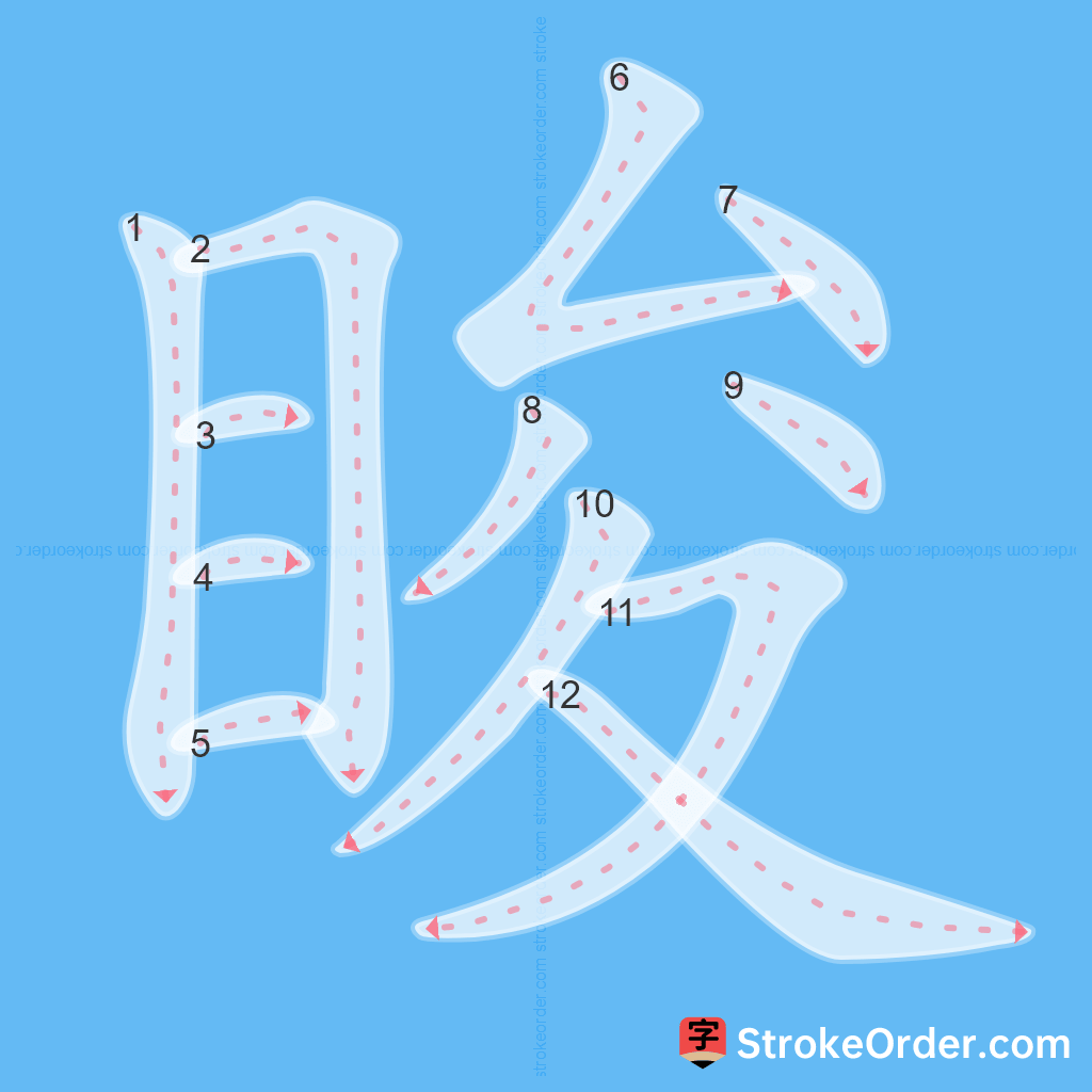 Standard stroke order for the Chinese character 睃