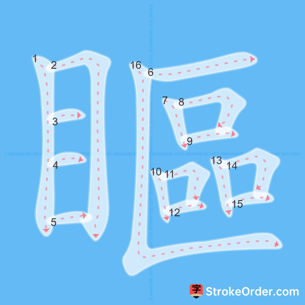 Standard stroke order for the Chinese character 瞘