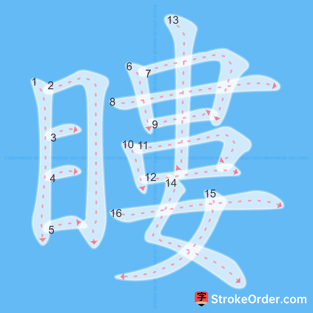 Standard stroke order for the Chinese character 瞜