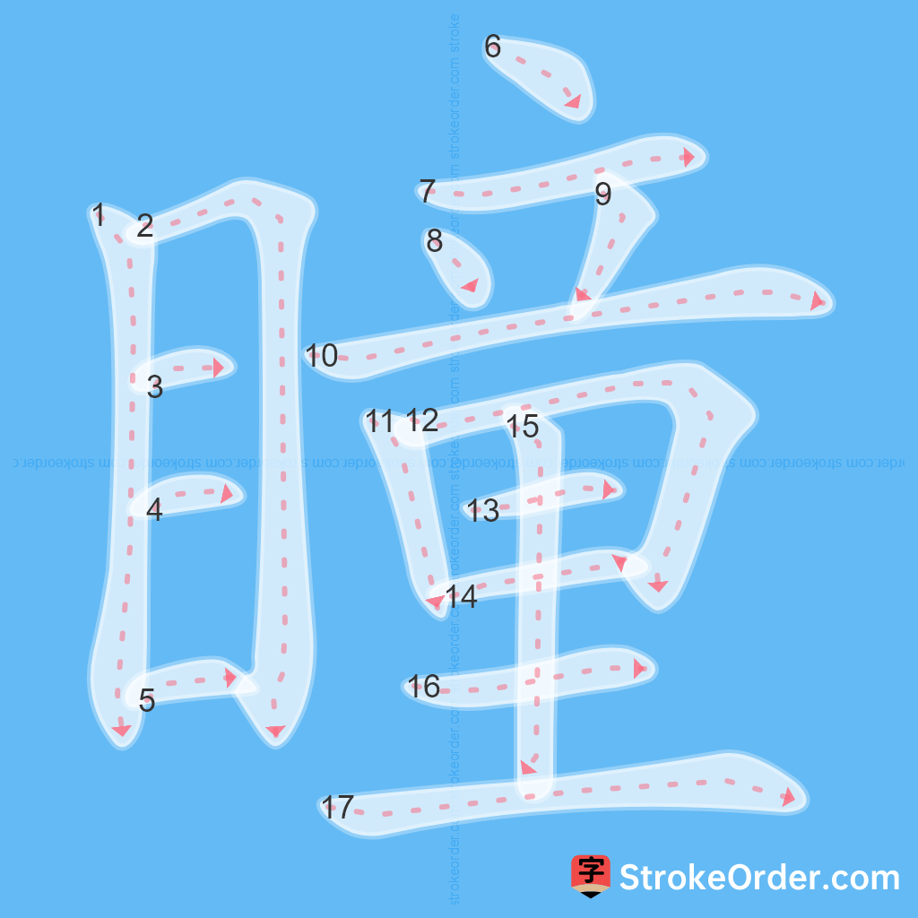 Standard stroke order for the Chinese character 瞳