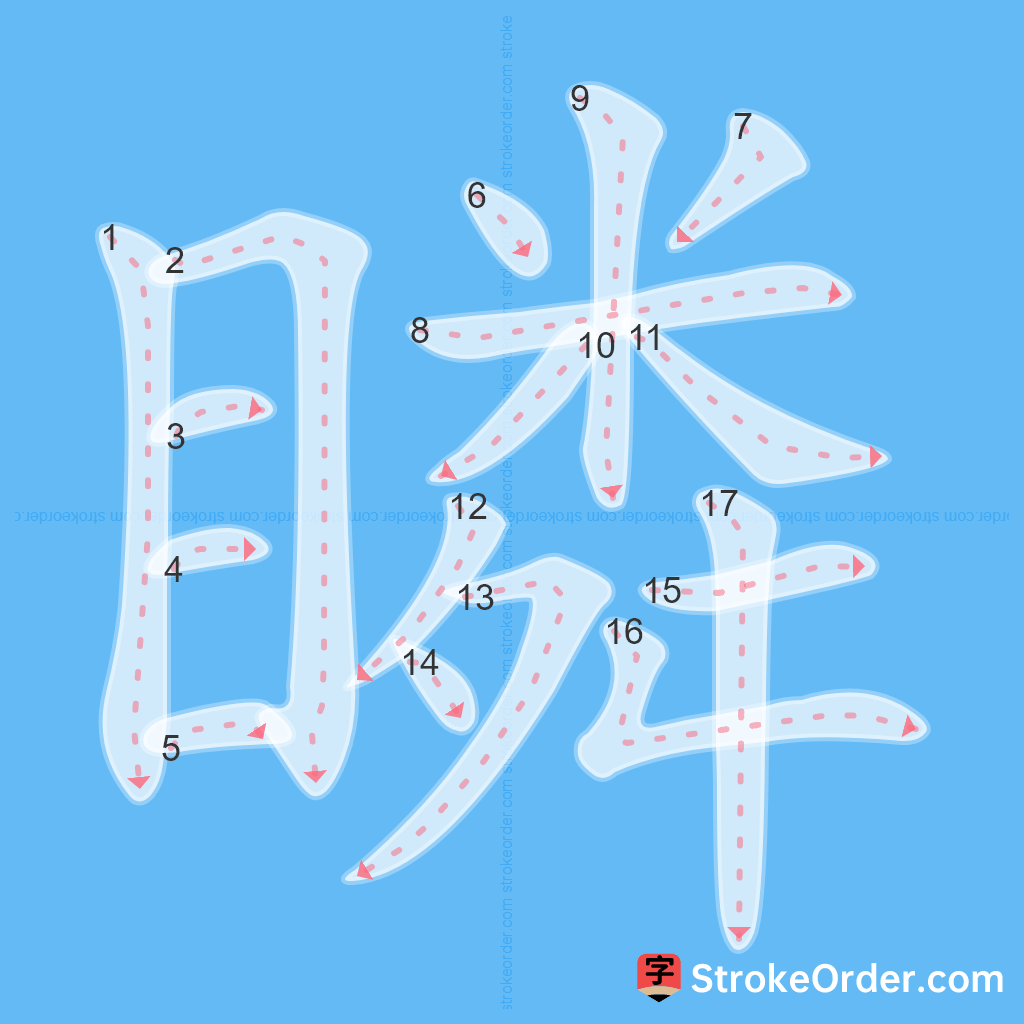 Standard stroke order for the Chinese character 瞵