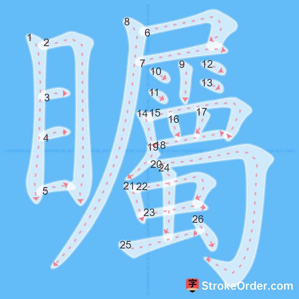 Standard stroke order for the Chinese character 矚