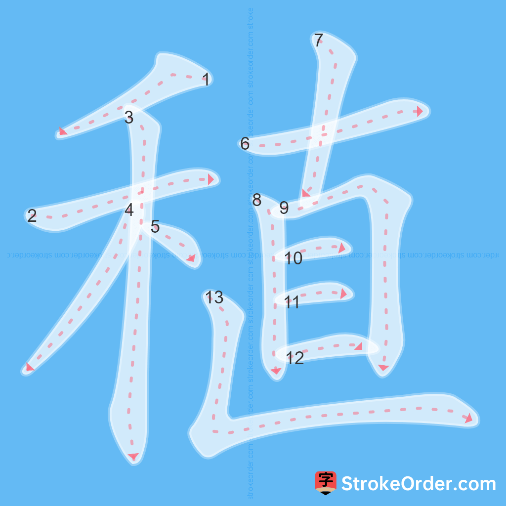 Standard stroke order for the Chinese character 稙