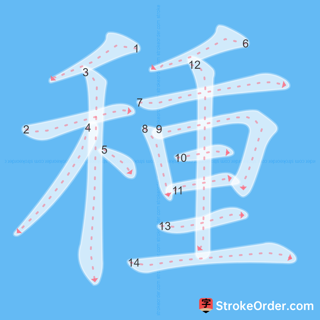 Standard stroke order for the Chinese character 種