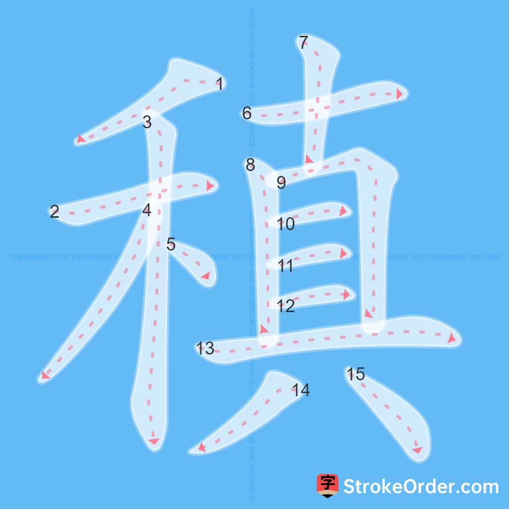 Standard stroke order for the Chinese character 稹