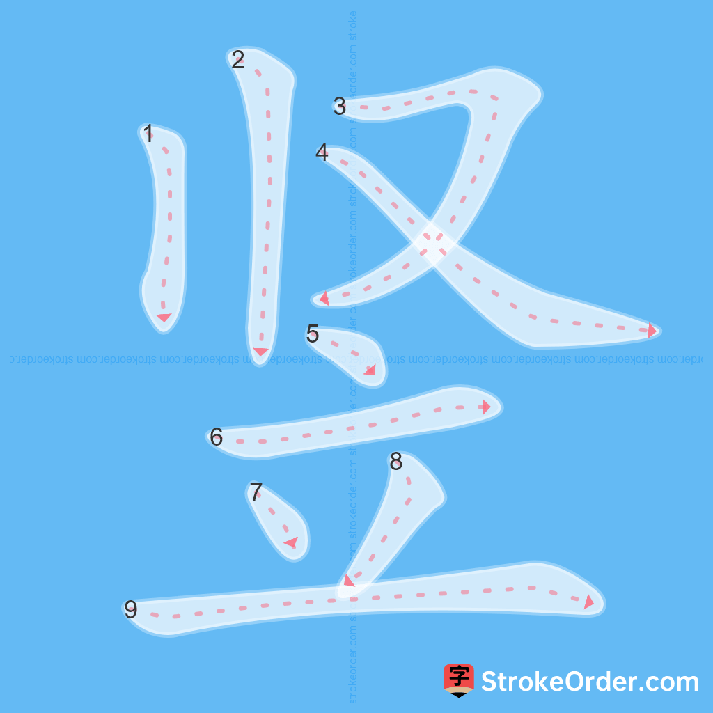 Standard stroke order for the Chinese character 竖