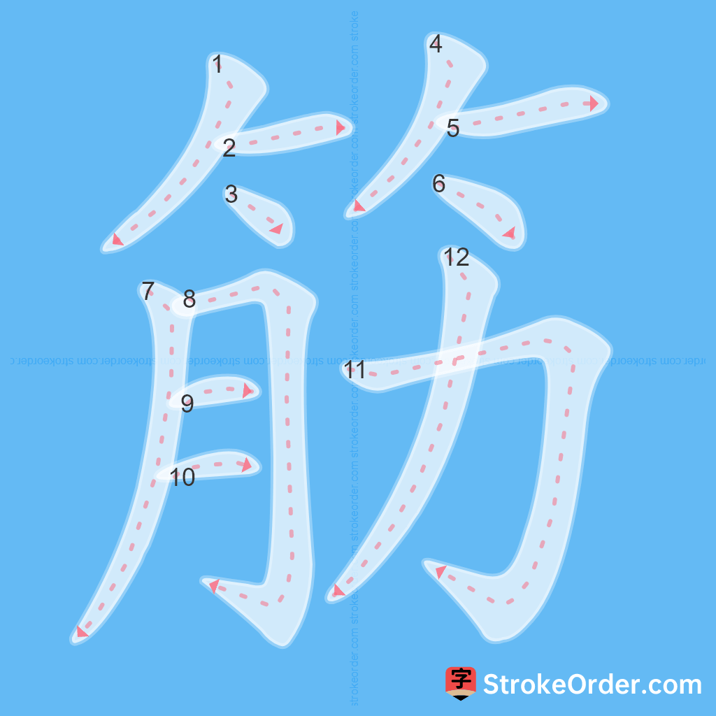 Standard stroke order for the Chinese character 筋