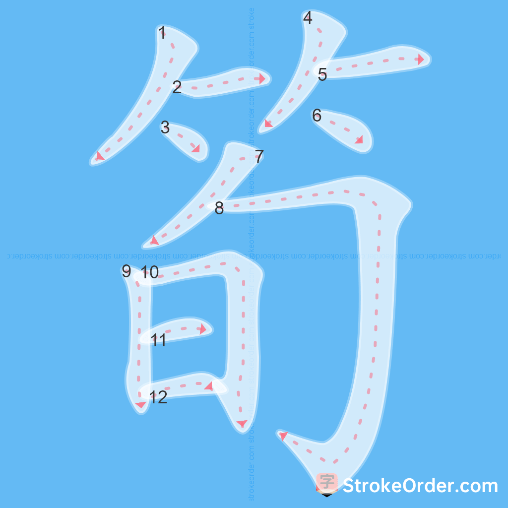 Standard stroke order for the Chinese character 筍