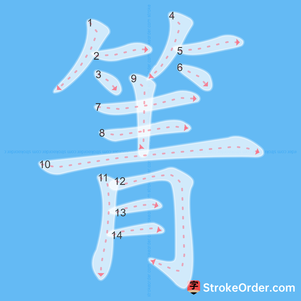 Standard stroke order for the Chinese character 箐