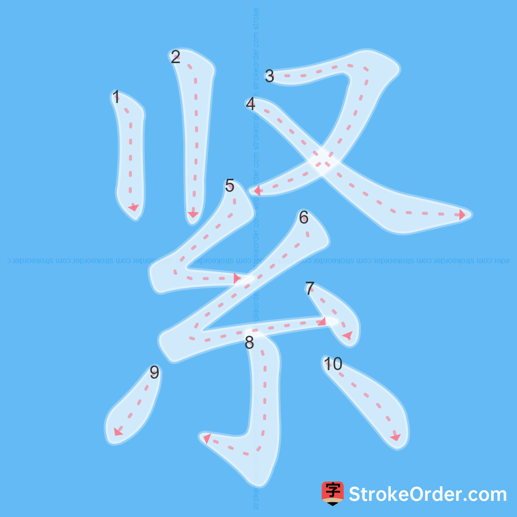 Standard stroke order for the Chinese character 紧