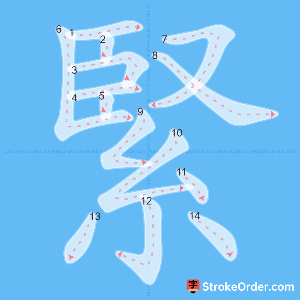 Standard stroke order for the Chinese character 緊