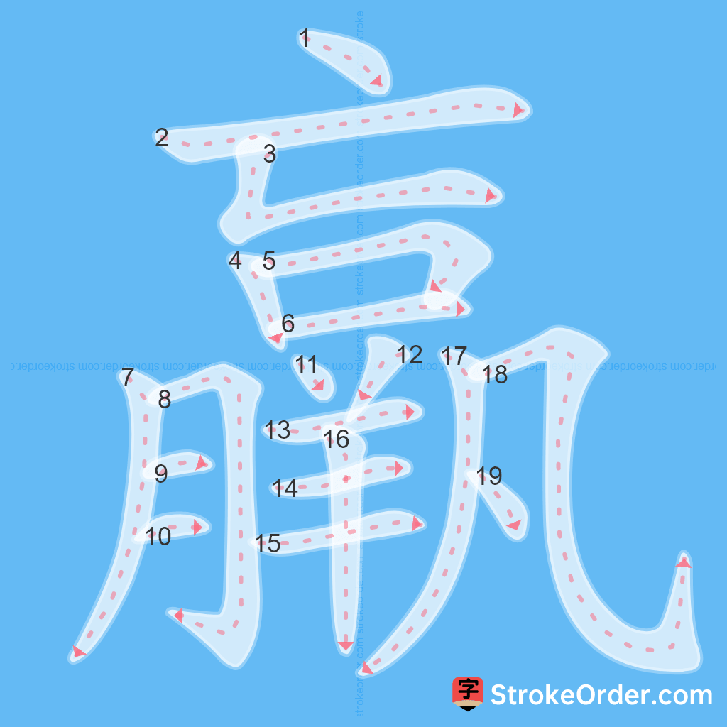 Standard stroke order for the Chinese character 羸