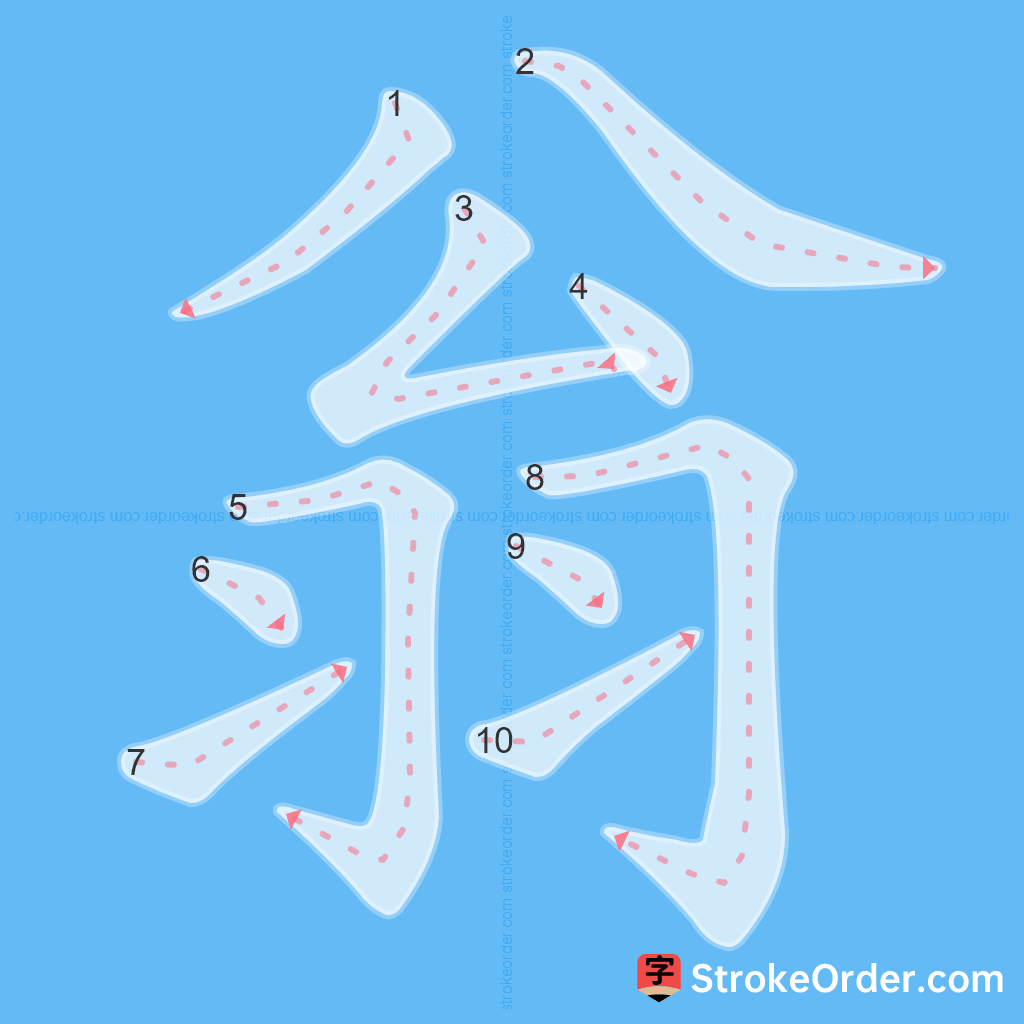Standard stroke order for the Chinese character 翁