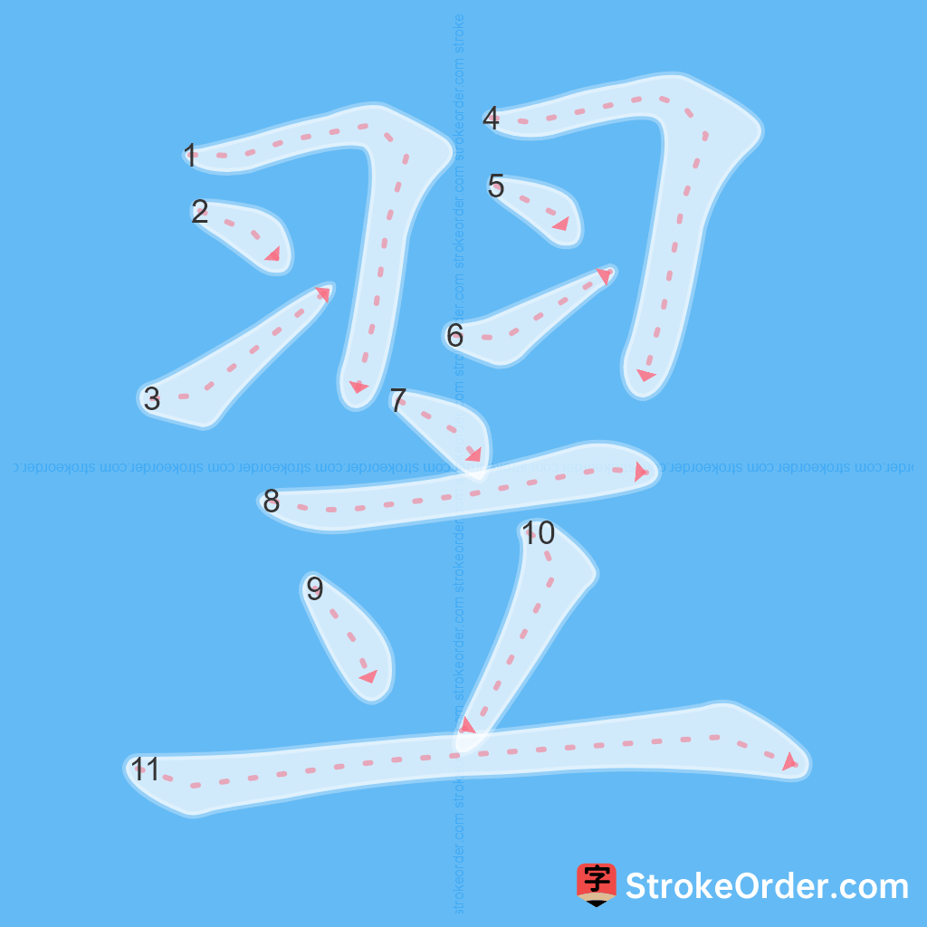 Standard stroke order for the Chinese character 翌