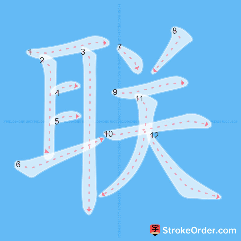 Standard stroke order for the Chinese character 联