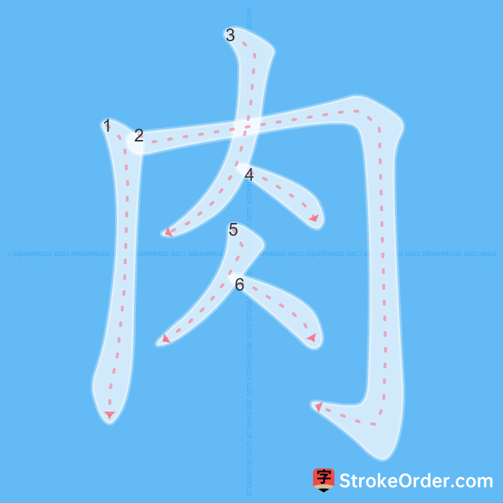Standard stroke order for the Chinese character 肉