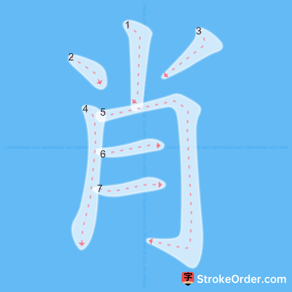 Standard stroke order for the Chinese character 肖