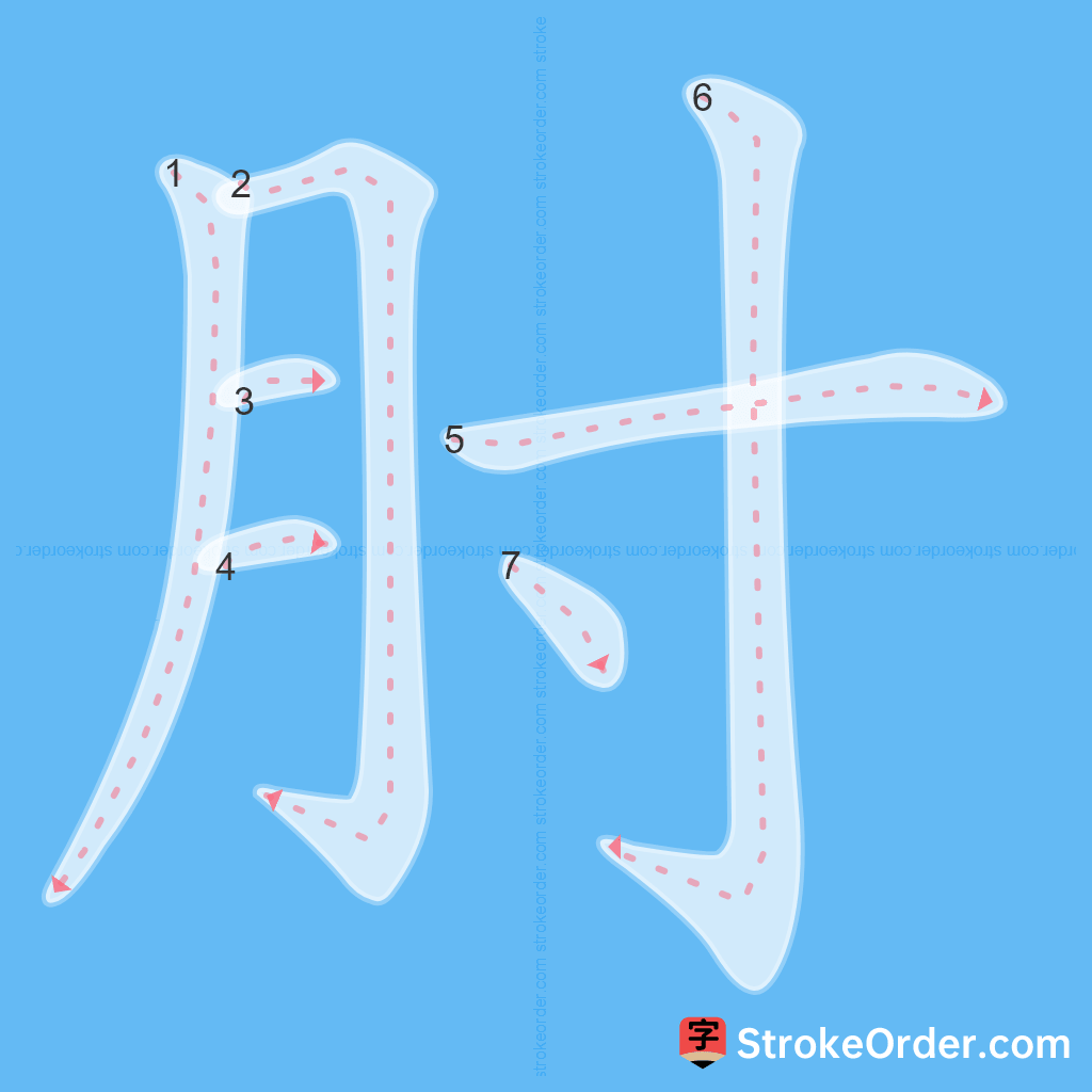 Standard stroke order for the Chinese character 肘