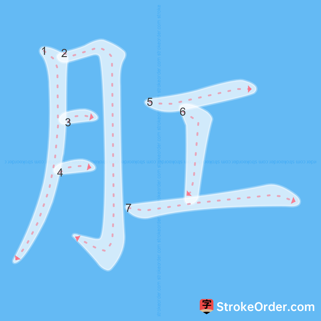 Standard stroke order for the Chinese character 肛