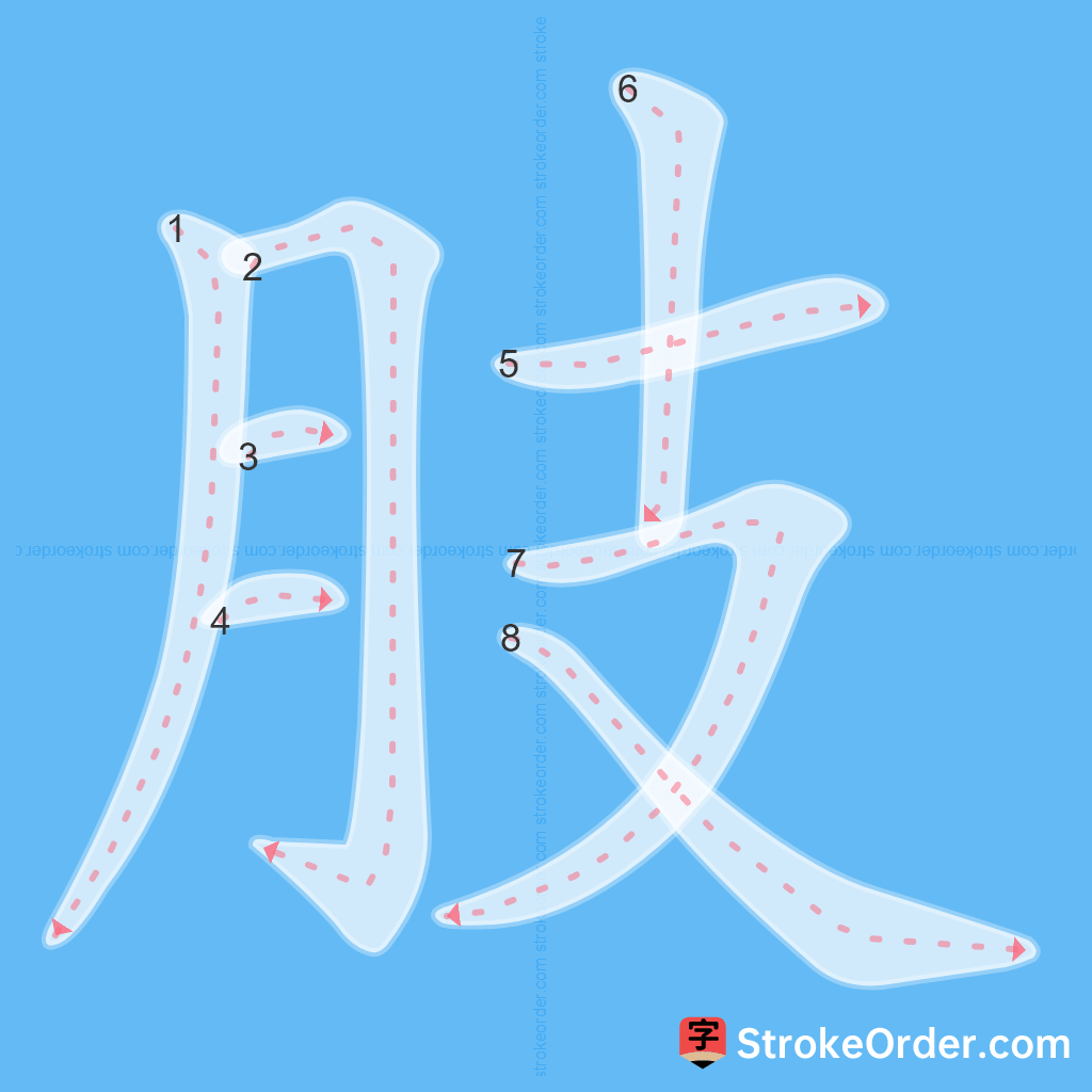 Standard stroke order for the Chinese character 肢