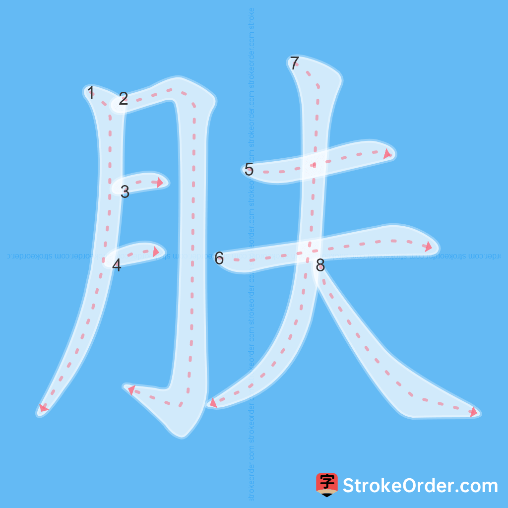 Standard stroke order for the Chinese character 肤