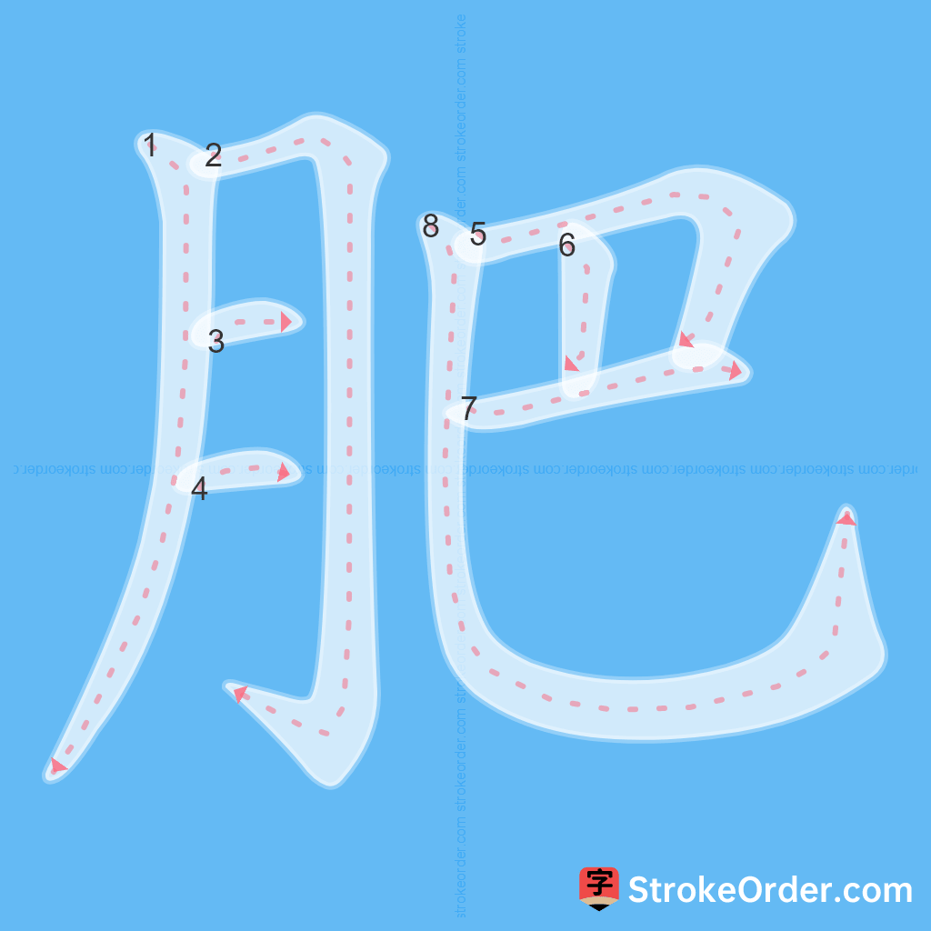 Standard stroke order for the Chinese character 肥