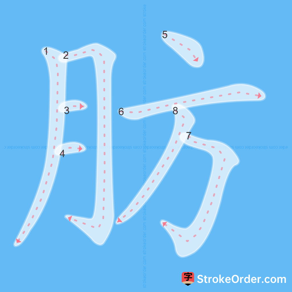 Standard stroke order for the Chinese character 肪