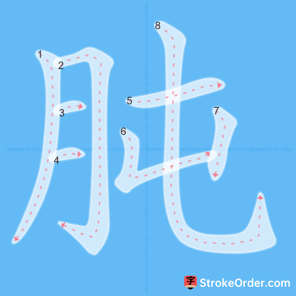 Standard stroke order for the Chinese character 肫