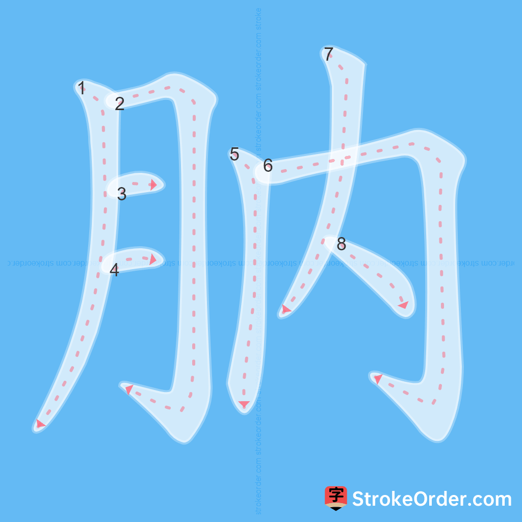 Standard stroke order for the Chinese character 肭
