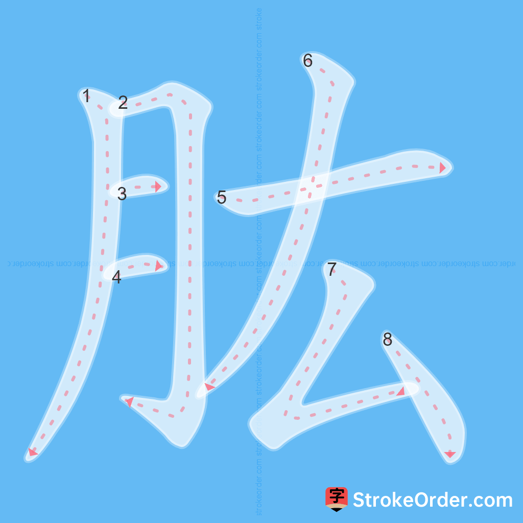 Standard stroke order for the Chinese character 肱