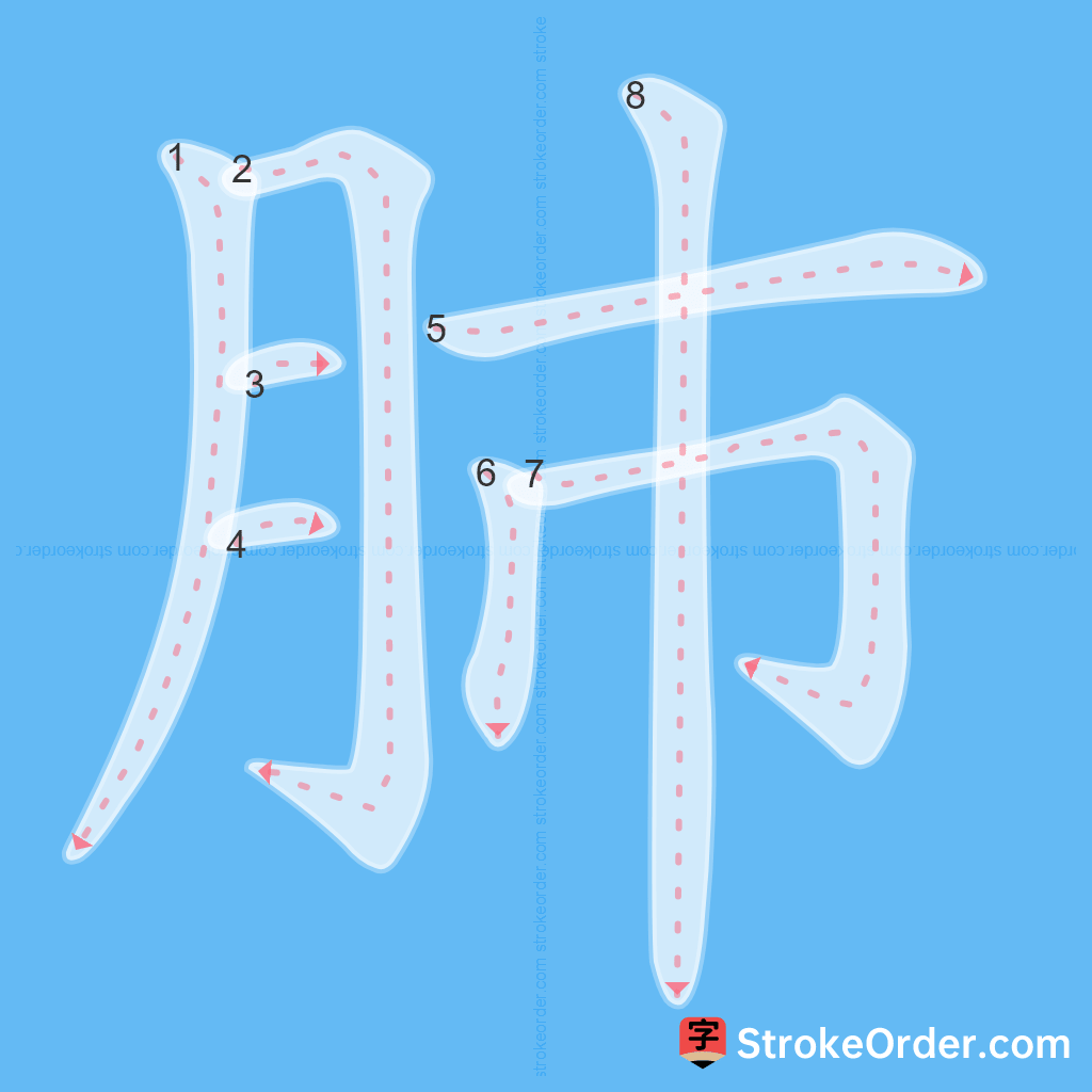 Standard stroke order for the Chinese character 肺