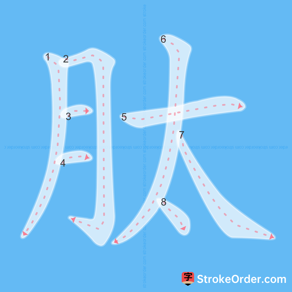 Standard stroke order for the Chinese character 肽
