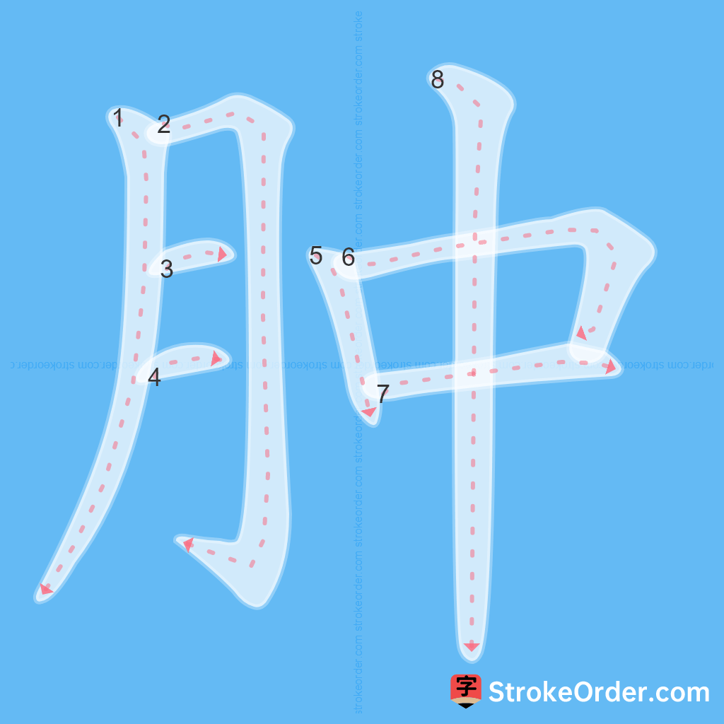 Standard stroke order for the Chinese character 肿