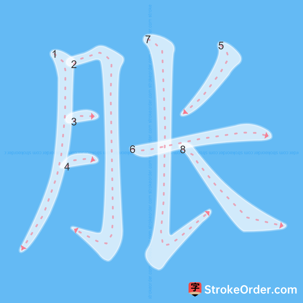 Standard stroke order for the Chinese character 胀