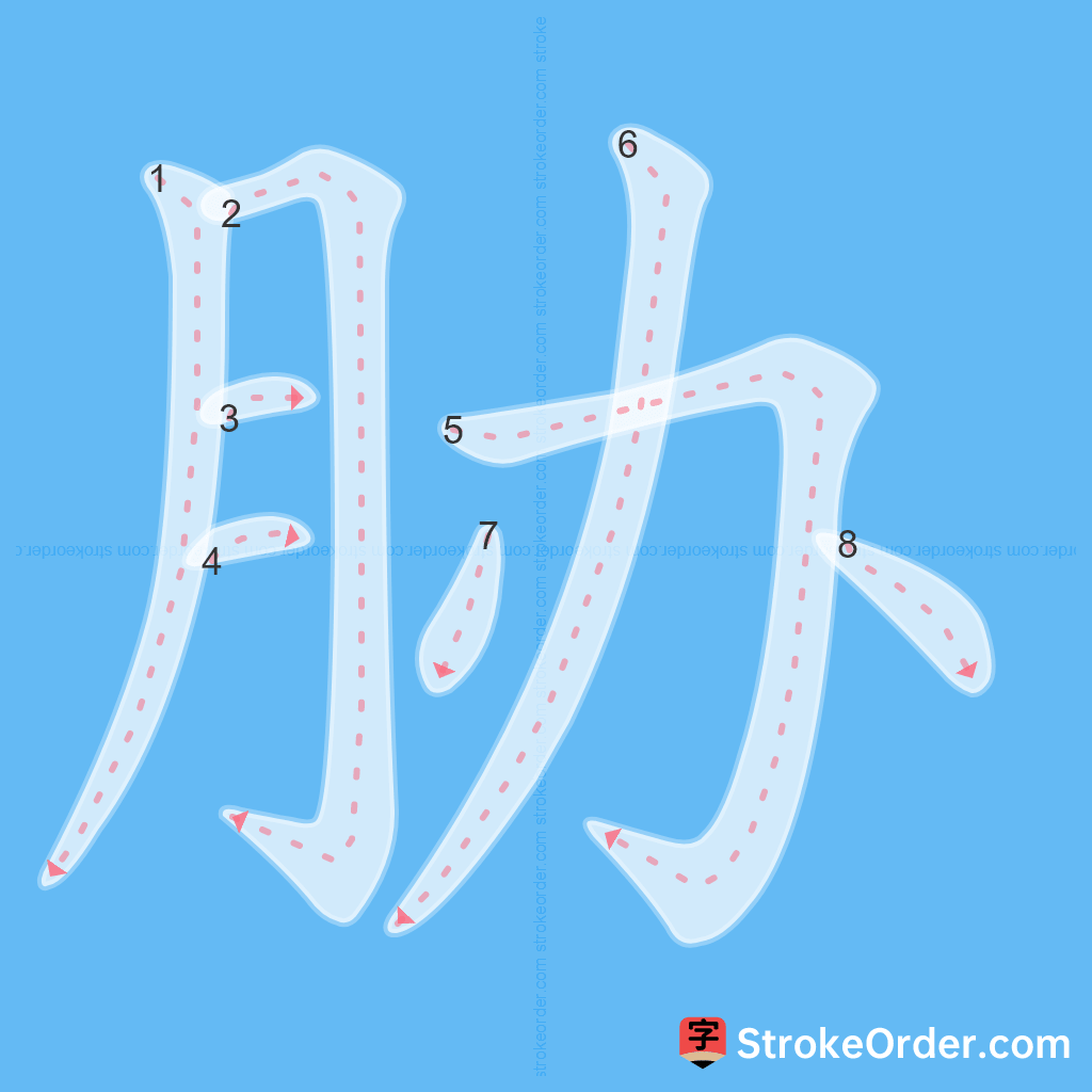 Standard stroke order for the Chinese character 胁
