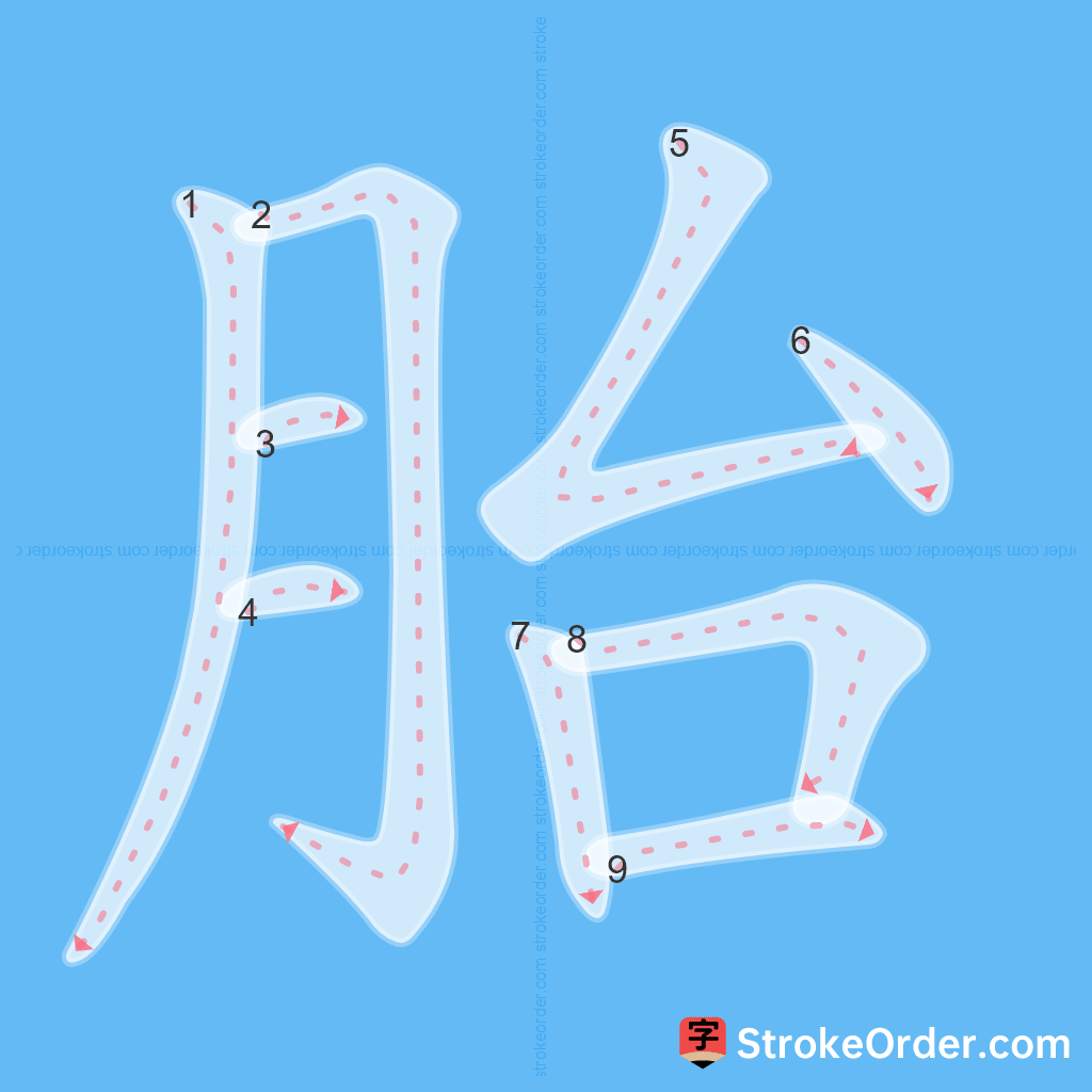 Standard stroke order for the Chinese character 胎