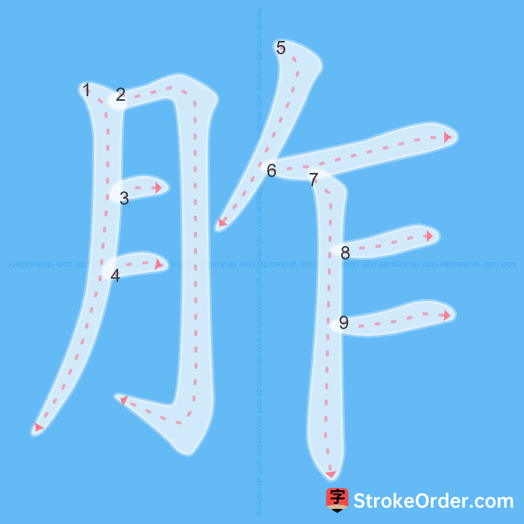 Standard stroke order for the Chinese character 胙