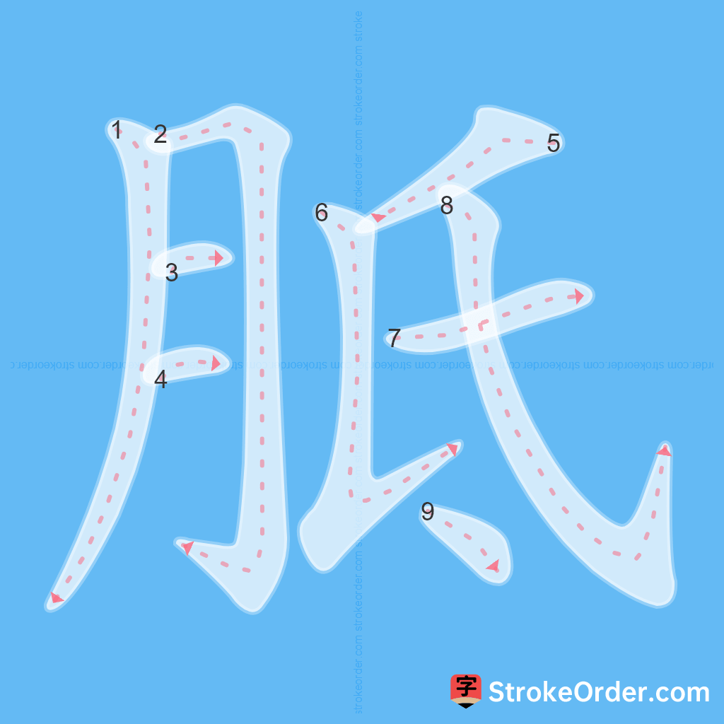 Standard stroke order for the Chinese character 胝